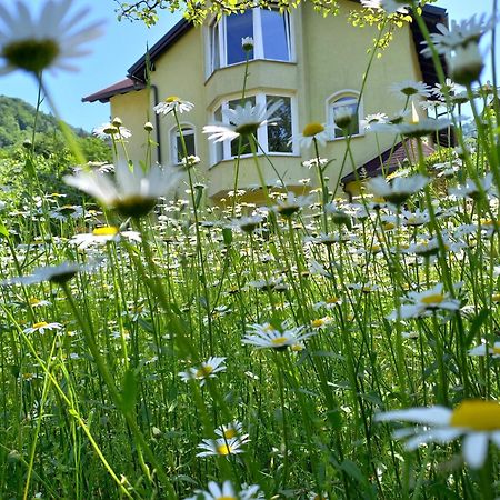 Riverside Villa Avo - Apartment Sara Spodnja Idrija Oda fotoğraf
