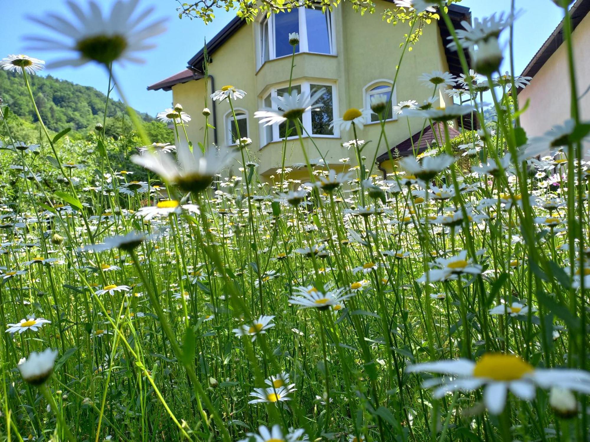 Riverside Villa Avo - Apartment Sara Spodnja Idrija Oda fotoğraf